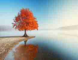 分​享﻿脚﻿本﻿的﻿社‍区​